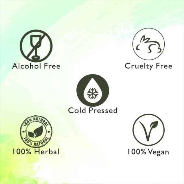 Deewal Anti hair fall oil - Image 4