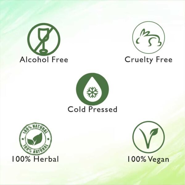 Deewal Black Seed hair oil - Image 4